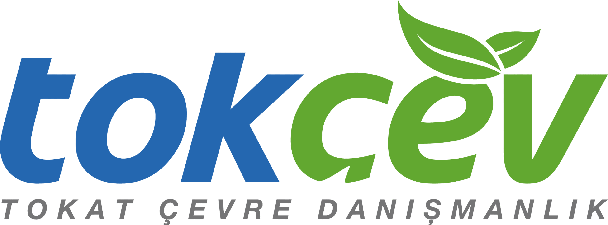 Varlık 2@4x